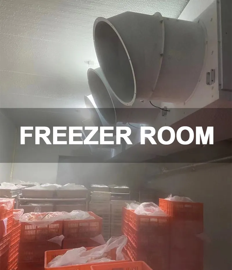 3.Freezer Room 3.Freezer Room